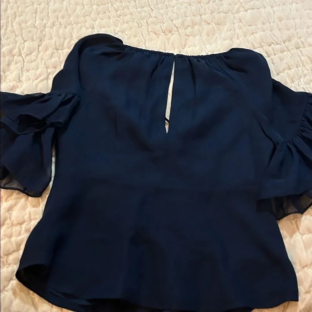 Cinq à Sept silk Daria Split Neck Blue Blouse with Pink Embroidery extra small - Picture 9 of 10